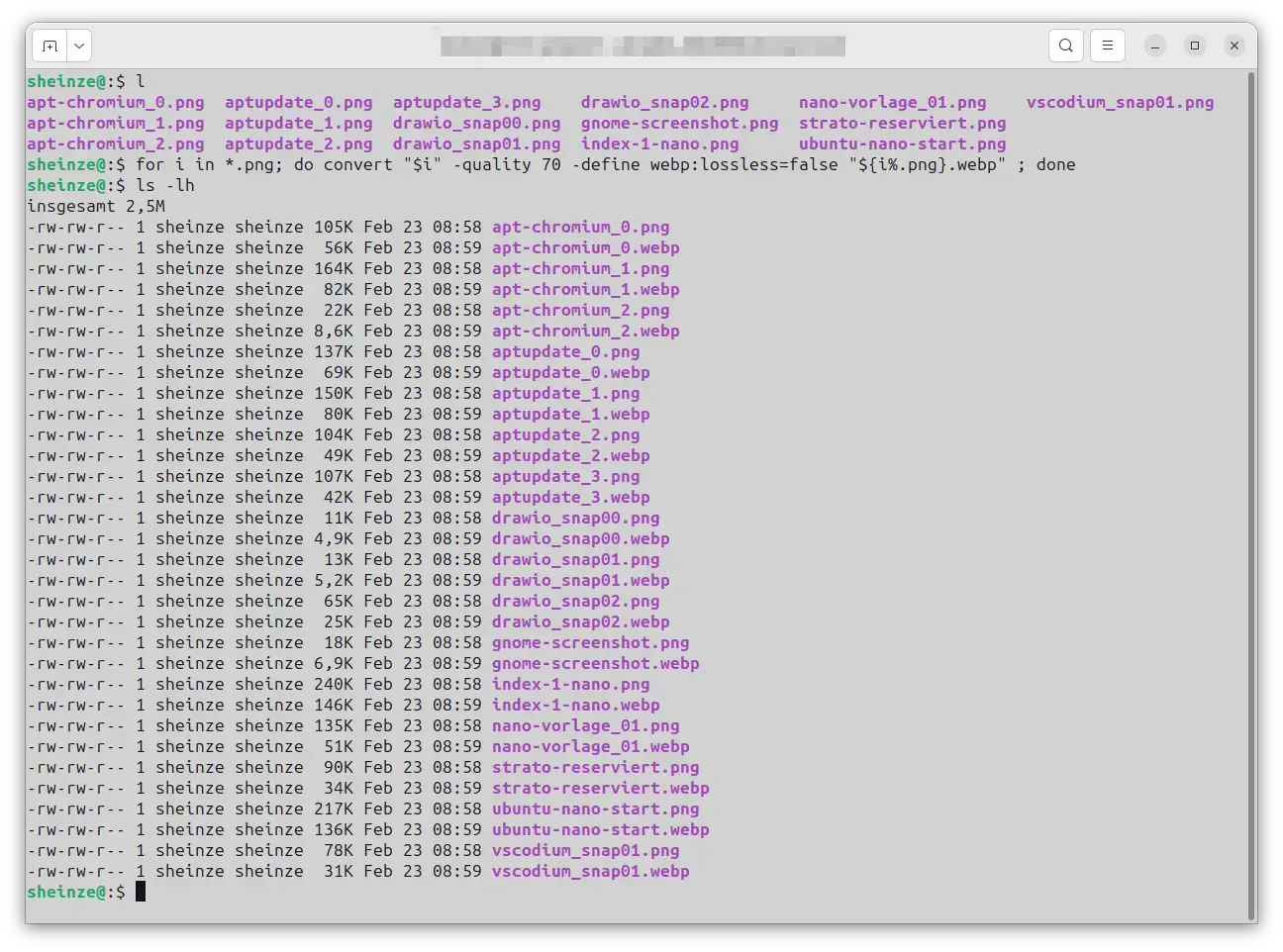 Ein Bild, dass die Konvertierung mehrerer PNG-Dateien mit Hilfe von ImageMagick zeigt