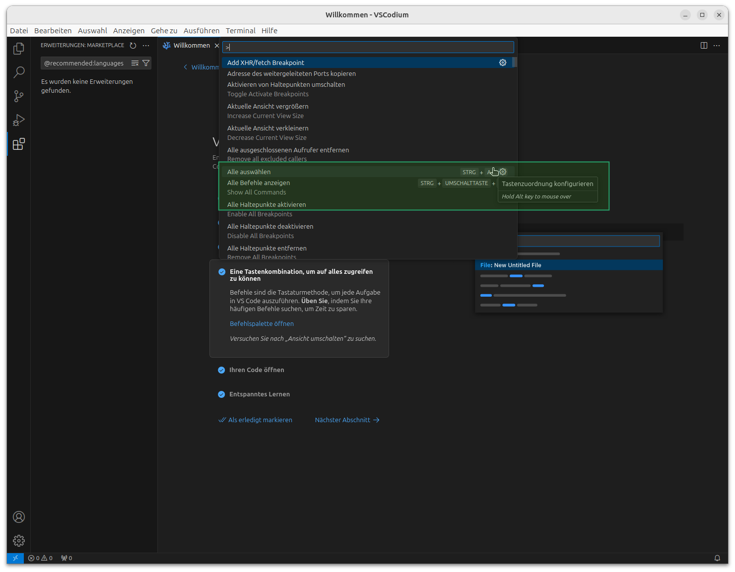 Die Konfiguration des Befehls Alles auswählen in VSCodium anschauen